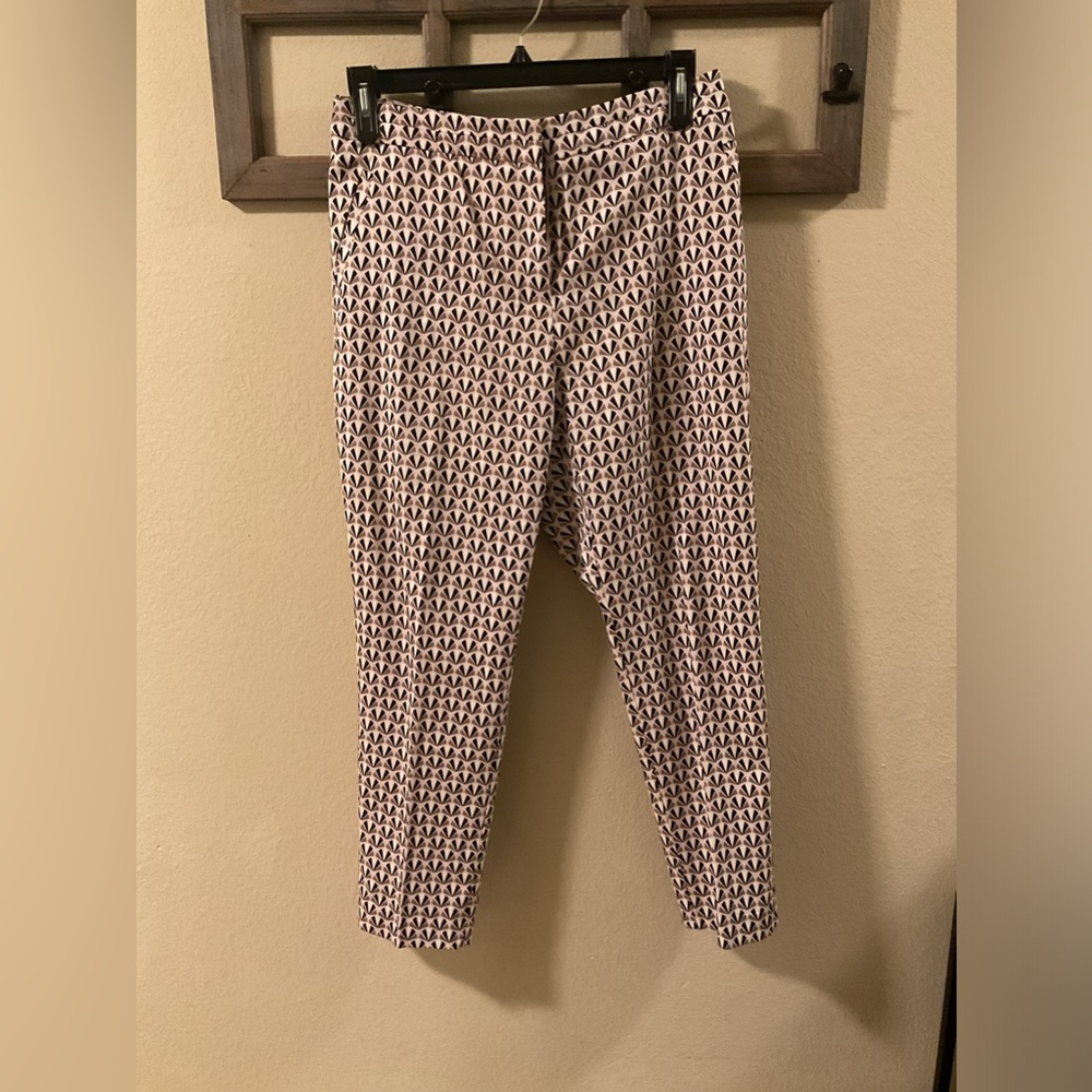 Capsule Printed Chino Pants